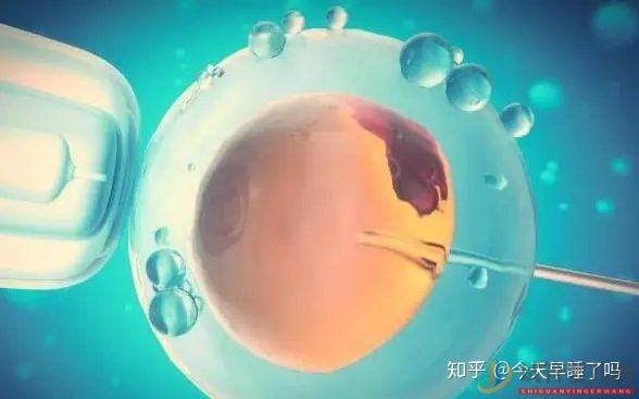 西昌龙虎彩票官网首页
技术,有哪些优点和缺点(图1)