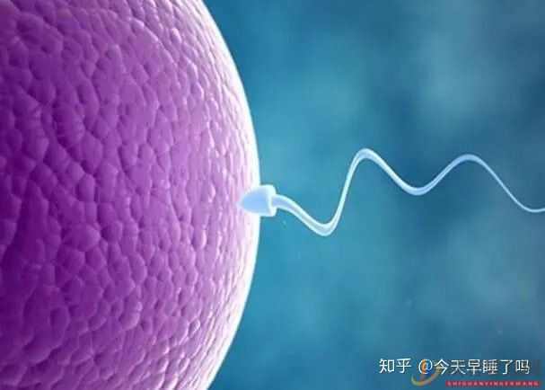 西昌龙虎彩票官网首页
技术,有哪些优点和缺点(图5)
