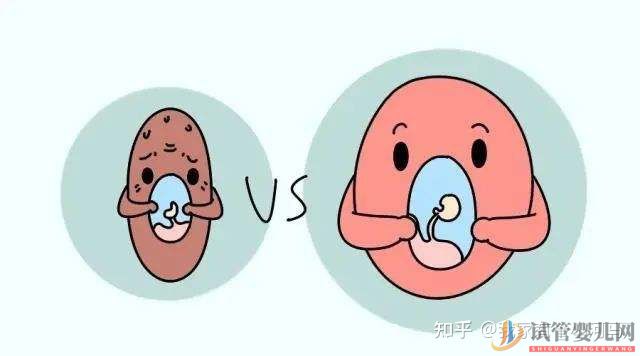 西昌第二代和龙虎彩票官网首页
的区别是什么_有什么不同(图1)