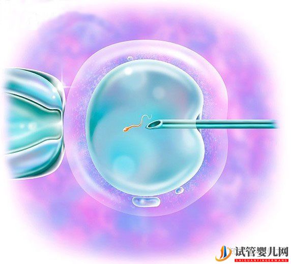 国内龙虎彩票官网首页
移植前后,这些激素值很重要!(图3)