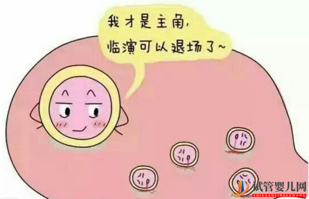龙虎彩票官网首页
中什么样的卵泡称为好卵泡(图1)