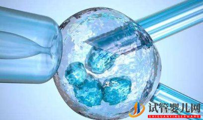 龙虎彩票官网首页
优势与费用(图1)