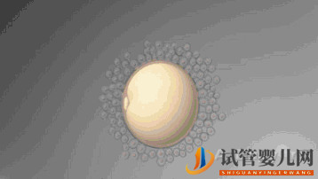 龙虎彩票官网首页
真的最好最先进吗_国内哪里可以做(图1) 龙虎彩票官网首页
真的最好最先进吗_国内哪里可以做(图1)
