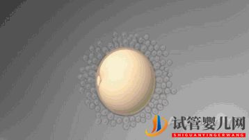 龙虎彩票官网首页
真的最好最先进吗_国内哪里可以做(图2) 龙虎彩票官网首页
真的最好最先进吗_国内哪里可以做(图2)
