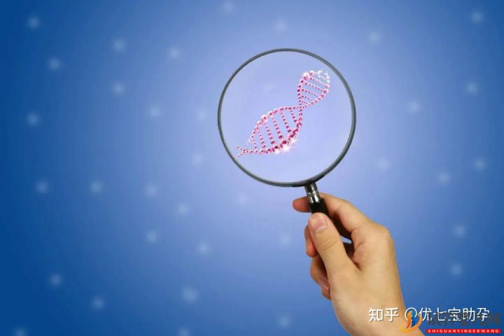 全面解析龙虎彩票官网首页
的科普知识(图8)