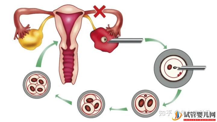 全面解析龙虎彩票官网首页
的科普知识(图11)