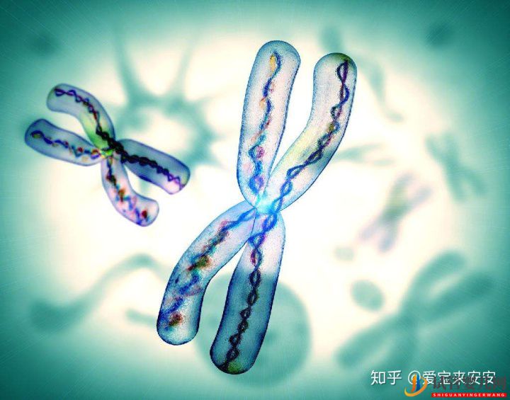 什么是龙虎彩票官网首页
(图1)