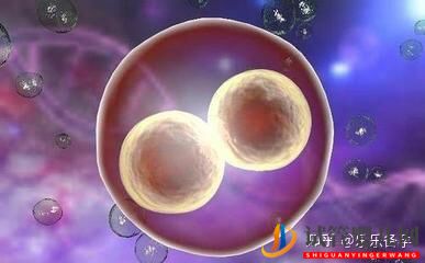 龙虎彩票官网首页
,中双胞胎的机率有多大(图3)