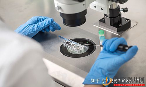 国内外龙虎彩票官网首页
的区别(图1)