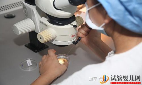 国内外龙虎彩票官网首页
的区别(图3)