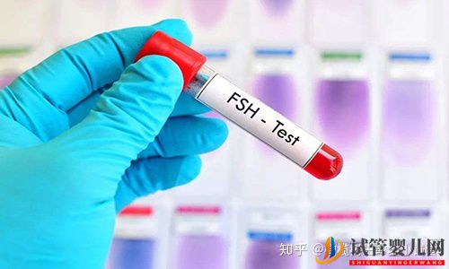 国内外龙虎彩票官网首页
的区别(图4)