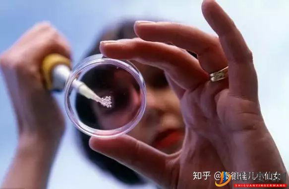 龙虎彩票官网首页
流程详解,每一步都很详细哦试管大约多少钱(图1)