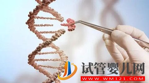 如何看待国内很多人通过龙虎彩票官网首页
技术生儿子(图2)