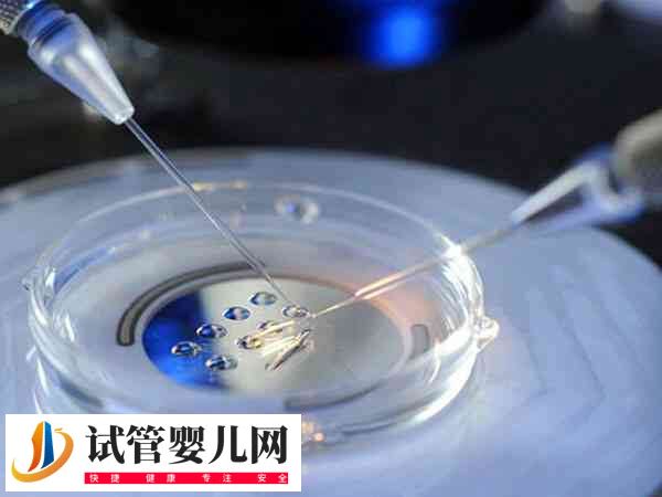 试管取卵前排精注意什么事项(图1)