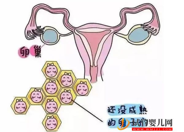 风寒季节，推荐几道好菜，驱咳治感冒 (图2)