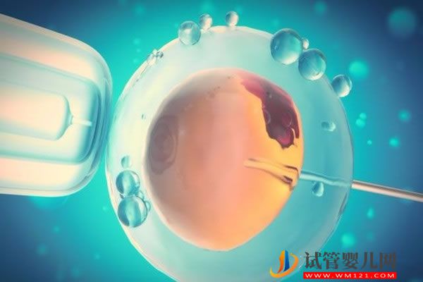 什么子宫有利于试管婴儿成功、移植前几天吃什么好？(图3)