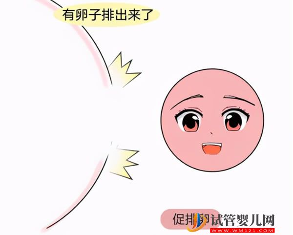 囊胚4bb试管移植一直有姨妈感会流产吗(图1)