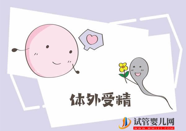 东莞试管婴儿价格贵不贵，不同试管医院价格参考表!(图1)