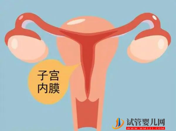 好孕百科世界试管婴儿发展史(图3)