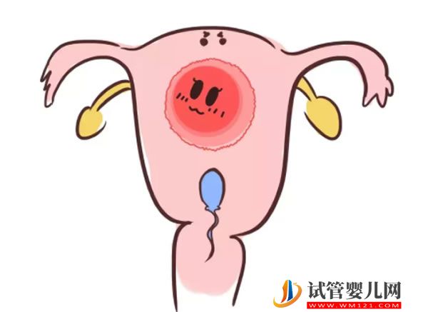 做供卵试管靠谱吗(图1)